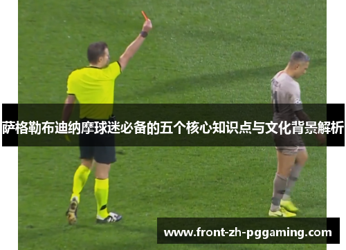 萨格勒布迪纳摩球迷必备的五个核心知识点与文化背景解析