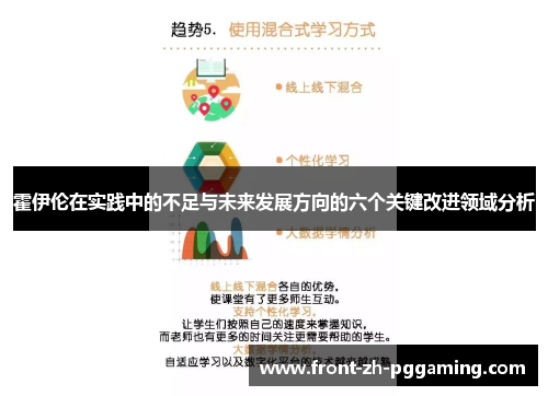 霍伊伦在实践中的不足与未来发展方向的六个关键改进领域分析