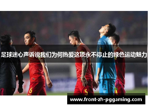 足球迷心声诉说我们为何热爱这项永不停止的绿色运动魅力